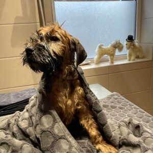 301641069_2427915217363473_1512725411858631941_n 301641069_2427915217363473_1512725411858631941_n