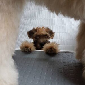 308342854_1223230778230521_3797703931322959583_n 308342854_1223230778230521_3797703931322959583_n