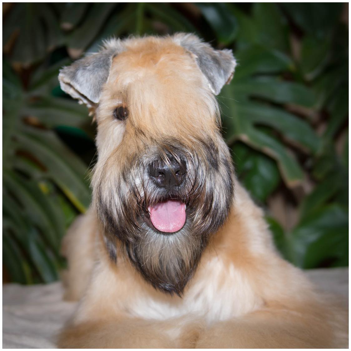 312357228_825386318785169_1875863609758722012_n