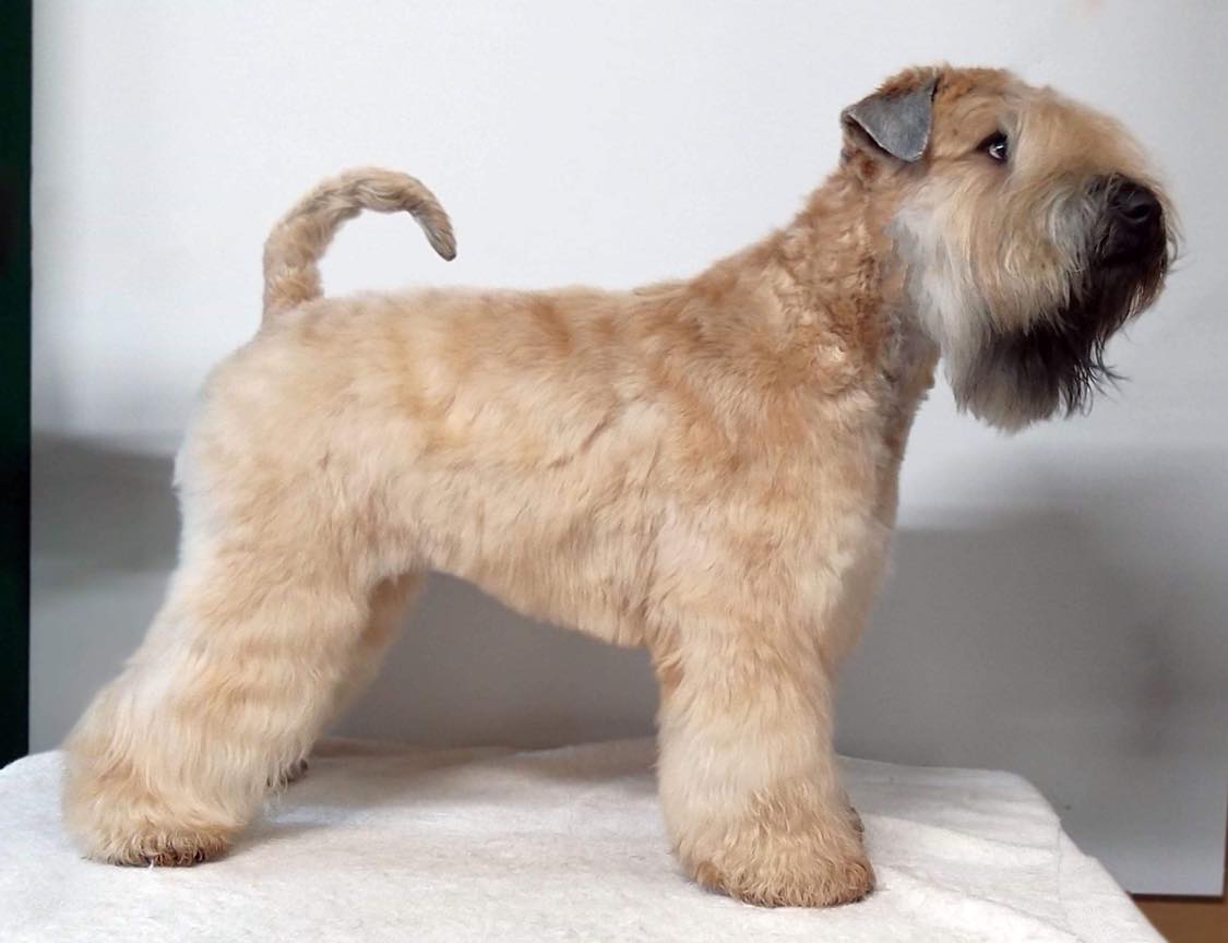 312709573_425517676231472_4506741288251814822_n