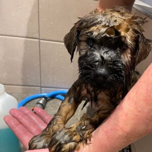 312820586_634701441632221_4661751183694204663_n 312820586_634701441632221_4661751183694204663_n