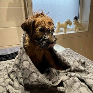 312848805_5385231518252785_2156907951027744188_n 312848805_5385231518252785_2156907951027744188_n