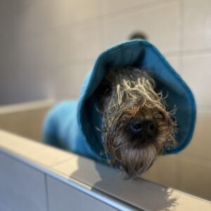 image00058 image00058