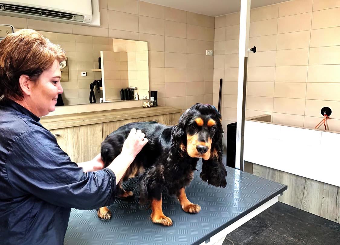 313744177_713407216302663_6686867043180769016_n