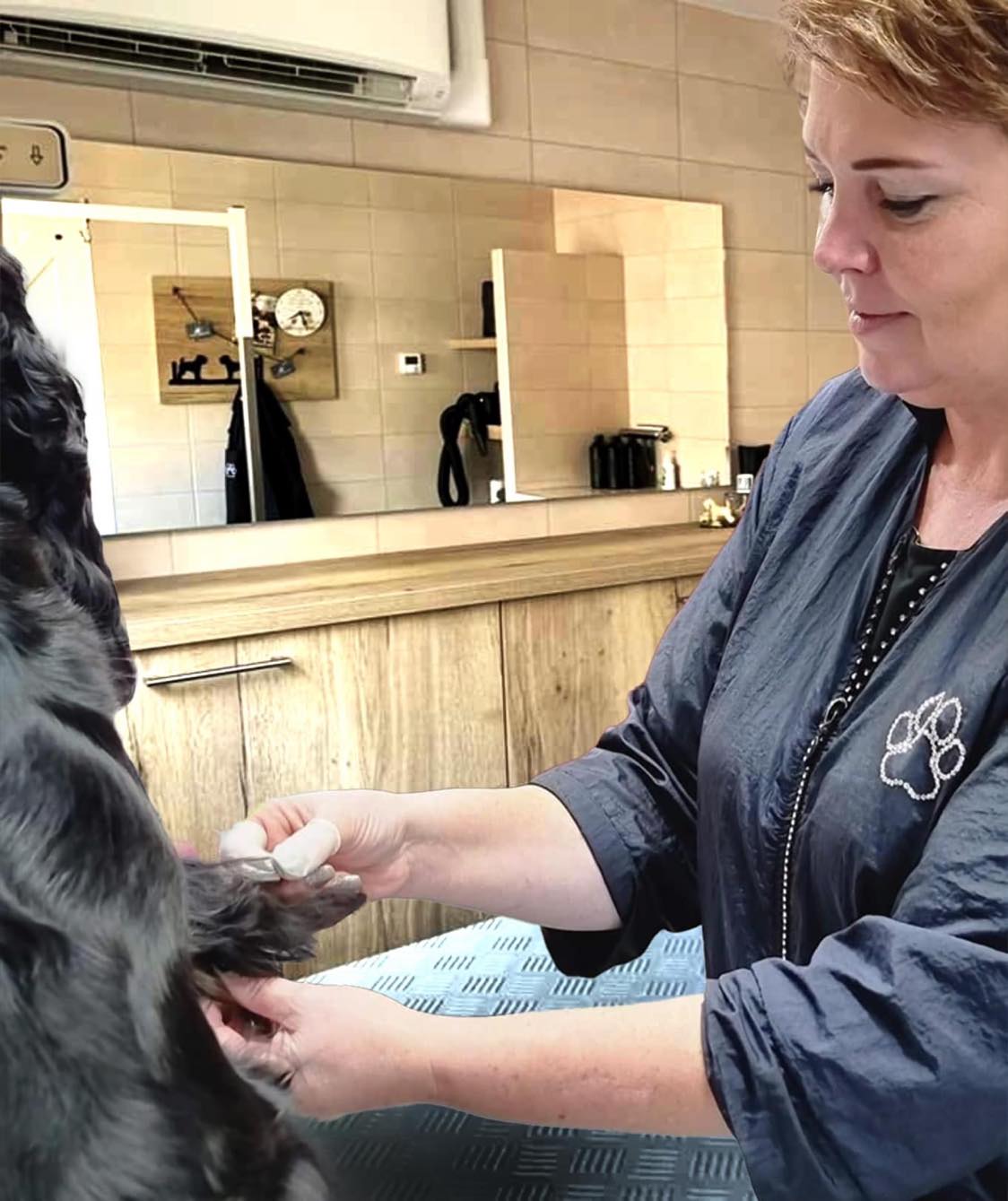 313781699_1280278876131230_8653369099905404303_n