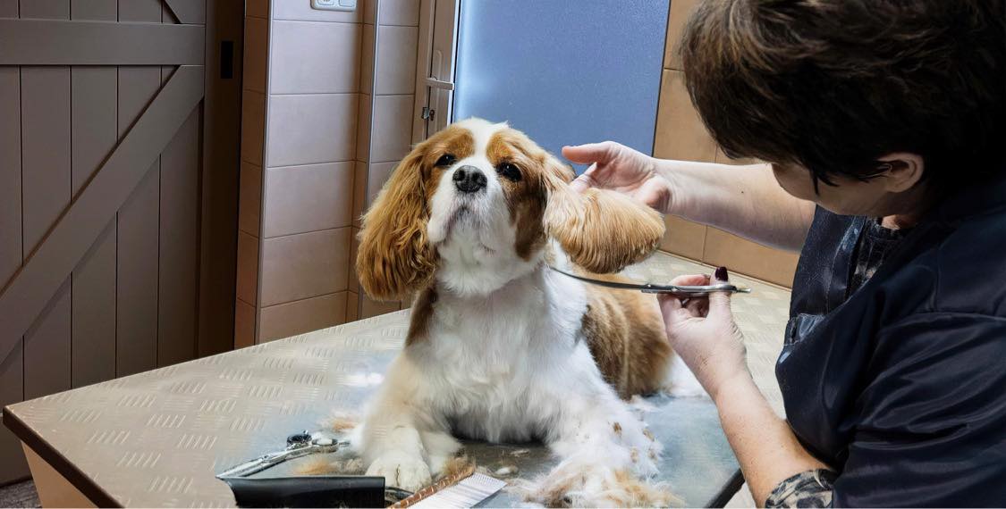 318033683_511132330983292_677983995855973670_n